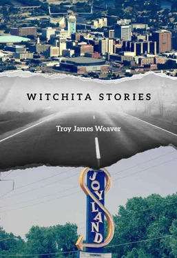 Troy Weaver Witchita Stories обложка книги