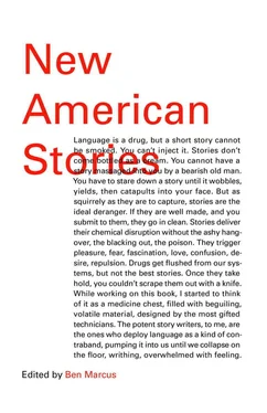 Saïd Sayrafiezadeh New American Stories обложка книги