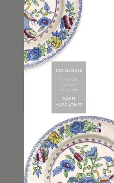 Adam Mars-Jones Kid Gloves: A Voyage Round My Father обложка книги