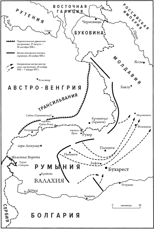 Буковина Трансильвания Румыния Западный фронт 19161917 гг Палестина и - фото 20