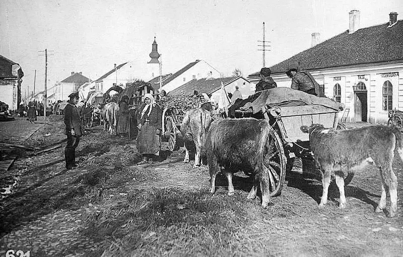 29 Сербские беженцы Осень 1915 г Library of Congress Prints and Photographs - фото 60