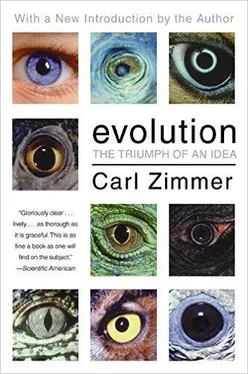 Carl Zimmer Evolution: The Triumph of an Idea обложка книги