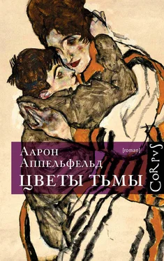 Аарон Аппельфельд Цветы тьмы обложка книги