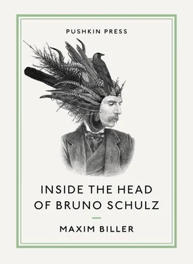 Maxim Biller Inside The Head of Bruno Schulz обложка книги