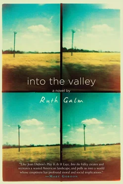 Ruth Galm Into the Valley обложка книги