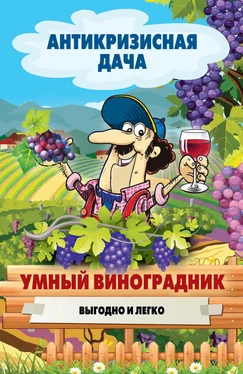 Сергей Кашин Умный виноградник. Выгодно и легко обложка книги