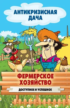 Сергей Кашин Фермерское хозяйство. Доступное и успешное обложка книги