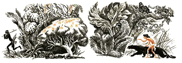 Так ли уж одряхлела и выжила из ума белая кобра мягко спросила Багира - фото 103