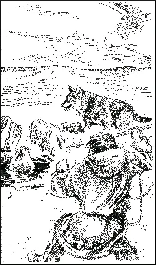 Когда Котукопёс вырос и вошёл в силу он начал бороться за первенство в - фото 107