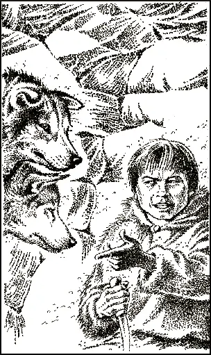 Северянка подтолкнула к Котуко собак на мордах которых явственно читался стыд - фото 109