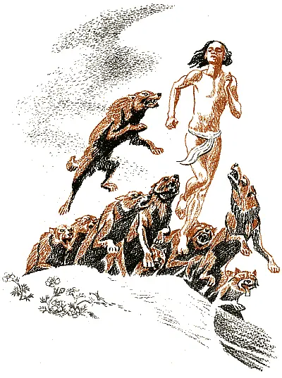 Маленький Народ уснул с началом сумерек потому что ночные цветы уже не цвели - фото 116