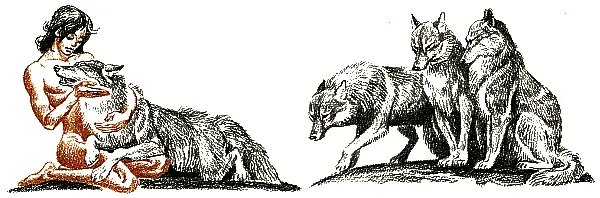 Очень осторожно и ласково Маугли поднял Акелу на ноги обхватив его обеими - фото 118