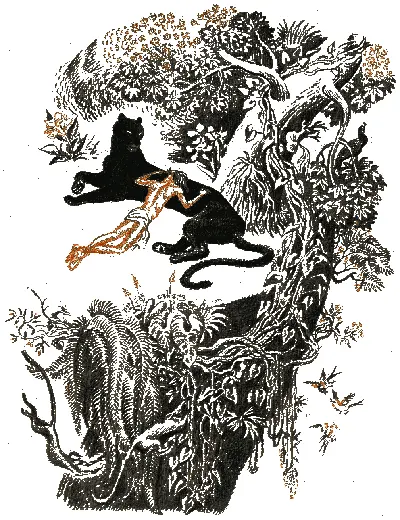 Пантера легла со вздохом до неё доносилась песня Ферао которую он как - фото 122