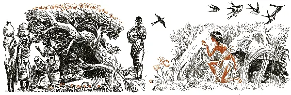 А теперь я не знаю сказал наконец Маугли Почему вы всё же не пришли - фото 125