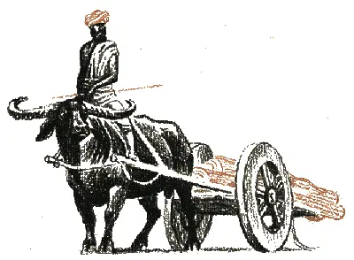 После драки на Скале Совета Маугли ушёл из волчьего логова и спустился вниз к - фото 23