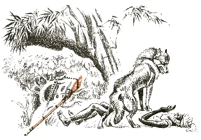 Даа сказал Маугли сквозь зубы ты прав Балдео ты не дашь мне ни - фото 28