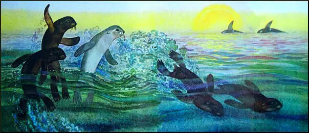 В последних числах октября котики стали покидать остров Святого Павла и - фото 34