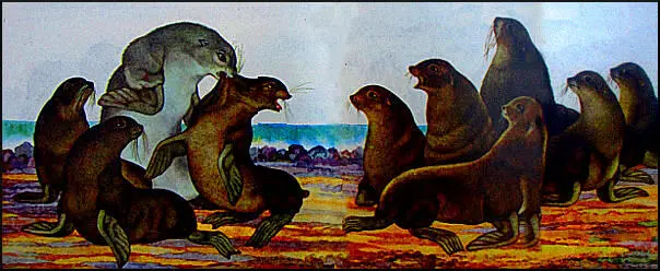 Лиммершин говорил мне что за всю свою жизнь а он ежегодно наблюдает не - фото 40