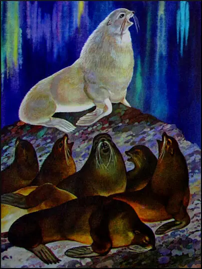 И Котик втянул голову в плечи и удовлетворенно прикрыл глаза Он правда был - фото 41