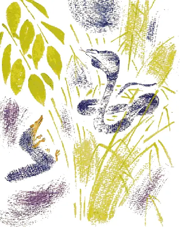 Когда треть его туловища поднялась над землёй он остановился и начал качаться - фото 47