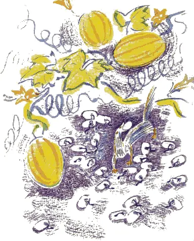 Он знал что с той самой минуты как они вылупятся из яйца каждая может убить - фото 52