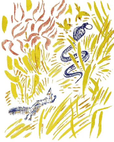 РиккиТикки знал что он должен настигнуть её иначе все тревоги начнутся - фото 54