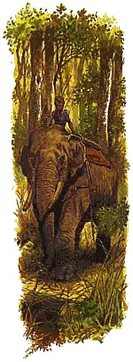 КалаНаг что значит Чёрный Змей сорок семь лет служил индийскому - фото 56