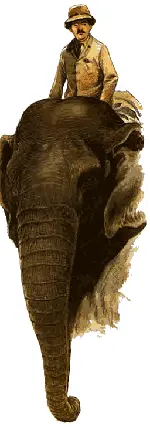 Снова раздался взрыв хохота потому что эти слова шутливая поговорка - фото 60