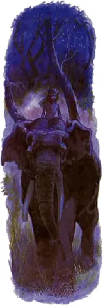 КалаНаг добрался до гребня перевала остановился на минуту и Маленький Тумай - фото 63