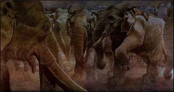 Раз или два он почувствовал что КалаНаг и другие слоны переместились на - фото 64