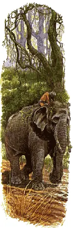 Лицо у Маленького Тумая было серое и осунувшееся а волосы осыпаны листьями и - фото 65