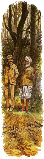 Шива и кузнечик Колыбельная которой мать убаюкивала маленького братишку Тумая - фото 66