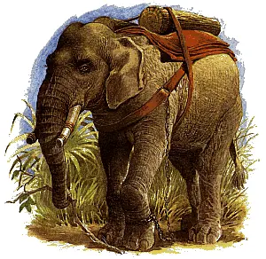 СЛУГИ КОРОЛЕВЫ перевод А Колотова Как хотите так решайте но решив за - фото 67