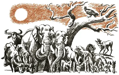 Закон Джунглей который много старше всех других законов на земле предвидел - фото 74