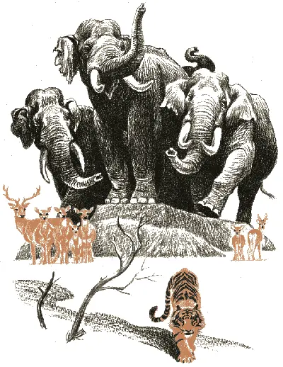 Что это за право о котором говорил ШерХан шепнул Маугли на ухо Багире - фото 76