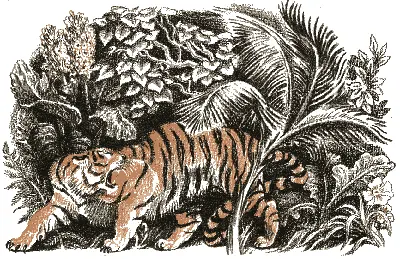 Тогда Первый из Тигров вернулся к Тха Гордость его была сломлена и - фото 78