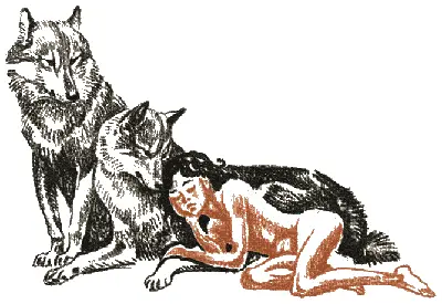 Вы конечно помните что Маугли пригвоздив шкуру ШерХана к Скале Совета - фото 85