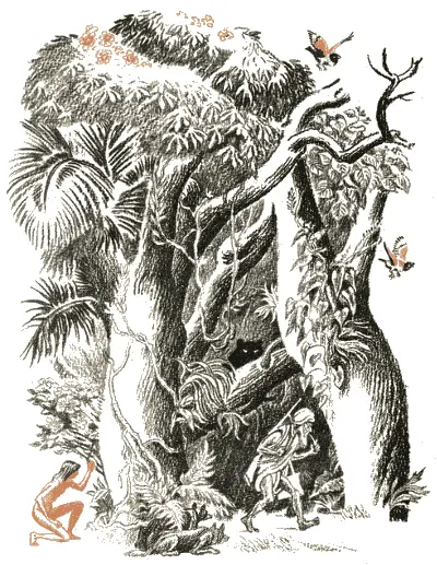 Вы помните что Маугли ушёл из деревни с тяжёлой шкурой ШерХана на плечах а - фото 86