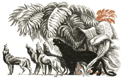 Никакой пересказ не может передать ни впечатление от этой песни ни насмешку - фото 88