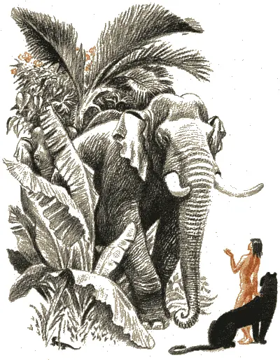 Маугли протянул руку и когда Хатхи повернулся при свете луны стал виден - фото 92