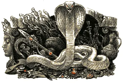 Доброй охоты сказал Маугли у которого вежливые слова как и охотничий - фото 101