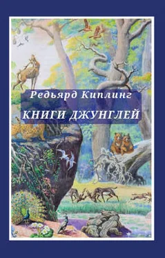 Редьярд Киплинг Книги джунглей обложка книги