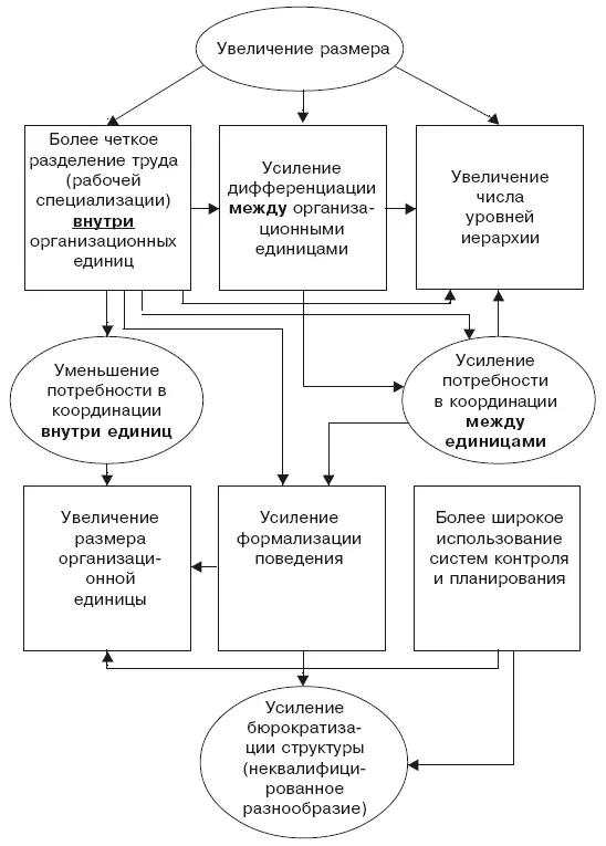 Рис 61Цепная диаграмма взаимосвязей между размером организации и - фото 26