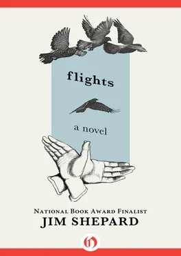 Jim Shepard Flights обложка книги