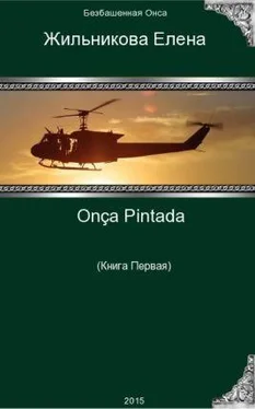 Елена Жильникова Onça Pintada - решение любых проблем обложка книги