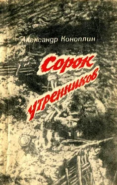 Александр Коноплин Сорок утренников (сборник) обложка книги