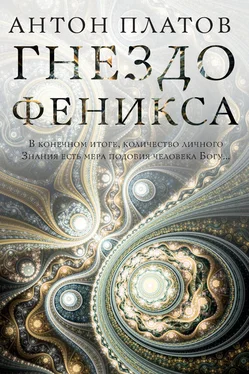 Антон Платов Гнездо Феникса обложка книги