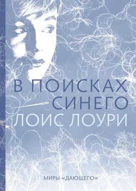 Лоис Лоури В поисках синего обложка книги