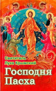 Лука Войно-Ясенецкий Господня Пасха обложка книги