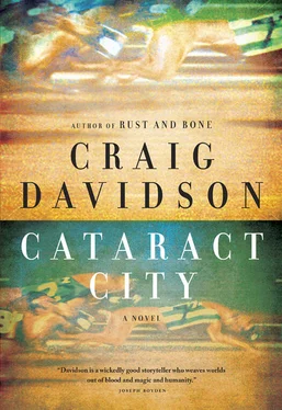 Craig Davidson Cataract City обложка книги